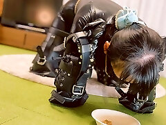 Hitachi Play and Meal Time