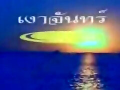 تایلندی, گربه فیلم تایلندی, گربه فیلم