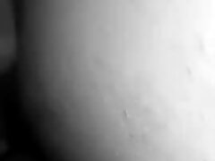 persian pussy licking