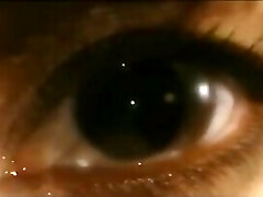 Pb82: Police Branch 82 Rebirth Silk & Steele