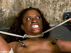 Monique in HogTied Welcome Sexy Milf Monique For Her First-ever Hardcore Bondage Experience. - Tied Like A Hog