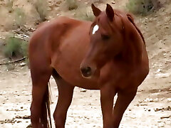 POV squirt alert - Scene #18