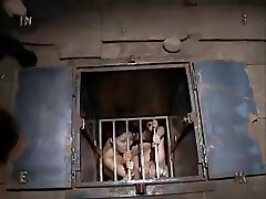 Hooded - Insex Hooded - Insex