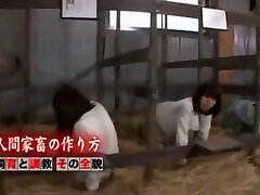 Exotic Asian girl Mika Osawa in Hottest Compilation, Interview JAV vignette Exotic Asian girl Mika Osawa in Hottest Compilation, Interview JAV vignette