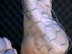 Bianca's wet feet in wires
