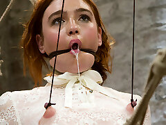 Jodi Taylor in Jodi Taylor: Impatient Slut Elaborately Bound, Flogged, Zapped And Fucked - HogTied