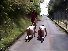 Varios Asian Mistress &amp; dog slave