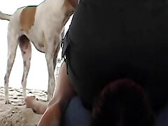 A wild German doll sitting on her victims's face at the beach