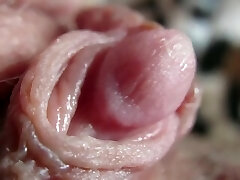 Pulsating Hard Clitoris In Extreme Close Up