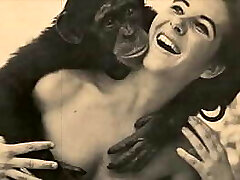 dark lantern entertainment представляет dark lantern entertainment представляет