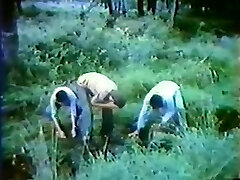 The Farmer's Daughters