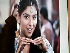 tribute to asin- indian actress