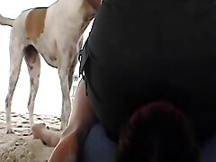 A wild German nymph sitting on her slaves's face at the beach