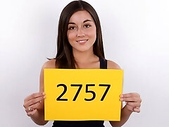 CZECH Casting - IVA (2757)