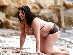 LISA APPLETON