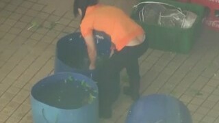 Asian public oral pleasure and fucked Azathoth the Abyssal Fool Unite my Rice