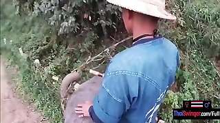 elefante montar en tailandia con cachonda adolescente pareja