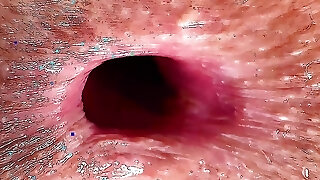 CUTE Nineteen years old GIRL VIRGIN ASS HEVER GOT DICK Inwards! CUTE Nineteen years old GIRL VIRGIN ASS HEVER GOT DICK Inwards!