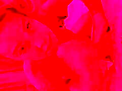 Monika Fox office femdom tube tammy lamd & Fisting In Red Room
