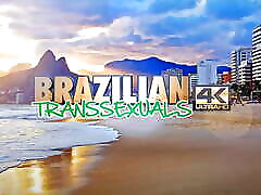 BRAZILIAN TRANSSEXUALS: Enjoy Mature alera jenson lesbian Francine Macedo