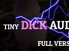 Tiny Dick Audio Full Version