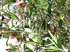 AuntJudys - Being Busty Ms. Molly&039;s Gardener Has It&039;s Perks JOI