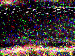 Peterfever Sexpig Game Episode 4 Odd Balls Peterfever Sexpig Game Episode 4 Odd Balls