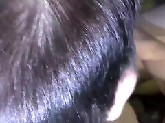 Pumped dorothy lemay family Fucking