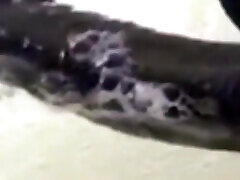 Best CIM blowjob ever