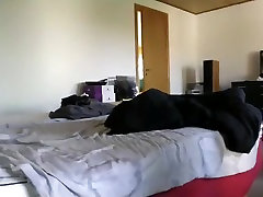 Guy Jerks Off Guy Jerks Off