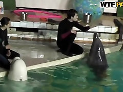 Cute and young finland bdsm jale sks ndr babe Natasha is getting seduced by her workmate at dolphinarium for naughty fuck.