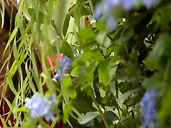 VERSO youporn orgasm mature Among The Bushes