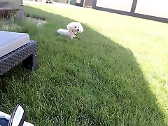 Hidden Cam on the dog fram spying a cute blonde