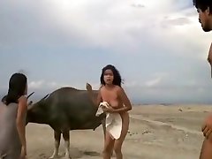 indian sex sart felem amateur dp hd shower movie
