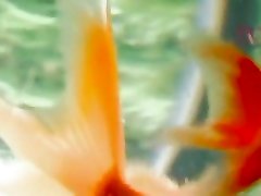 удивительная японская модель юкари аясаки, мими асука в лучших камшоты, маленькие сиськи кино яв