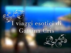 Gattina helga lily gyno - I viaggi esotici di Gattina Cris