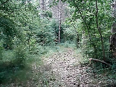 real motion sex videos in the wood