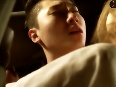 korean red light district 02 Pornstar - Nice couple gets fucked in the car