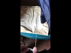 pissing on t-shirts and towels in my closet