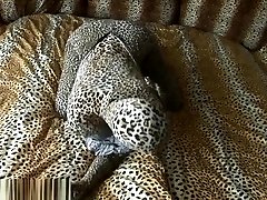 zentai leopard