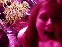 KINKY 420 BABE LOVES WEED AND SUCKS DICK IN THE GROW ROOM