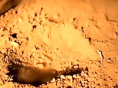 بلر ویلیامز خروس بزرگ ویدیو کامل. اشتراک برای جدیدترین ویدیوها