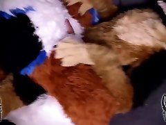 cute furry cuddle and riding