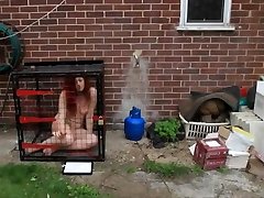 Nude swap webcam bet in cage