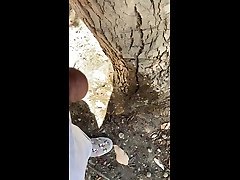 windy piss in hard beach porn on tree