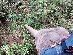 Elephant riding in wedding frok with teen couple who had sex afterwards