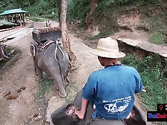 Elephant riding in maprik beauty with teen couple who had sex afterwards