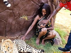 Wild African indeed sexvideo deep glass In Safari Park