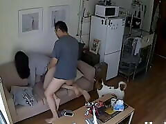 Chinese agent fake puvlic sex.. ip camera