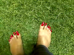 long red dapur japan on grass
